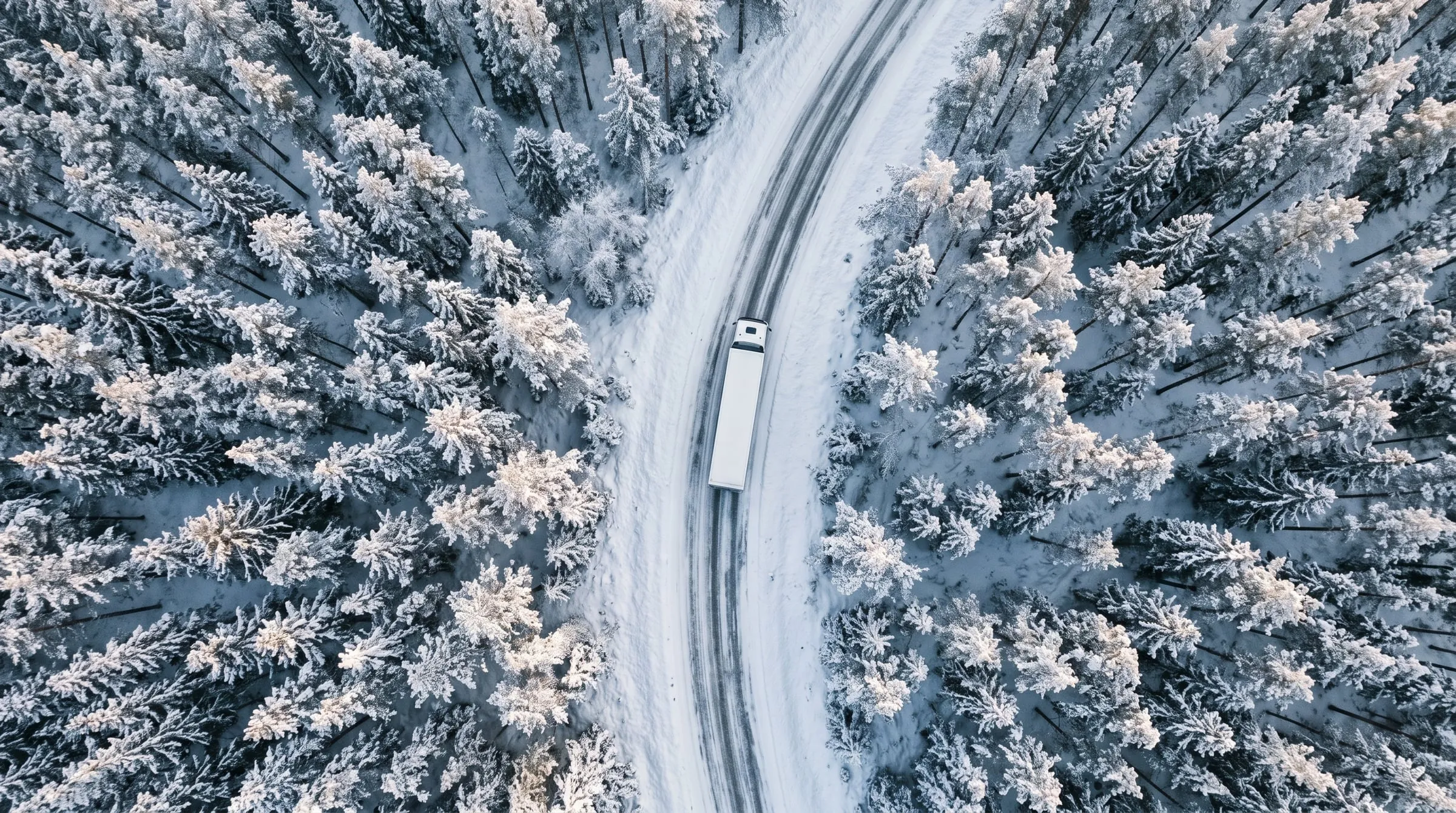 A white truck on a narrow road through snow-covered forest, seen from straight above