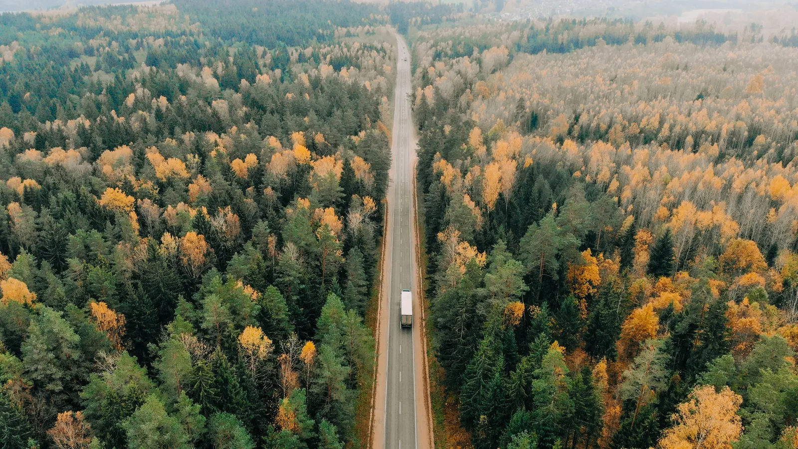 Aerial view of a single truck alone on a straight road cutting through autumn forest
