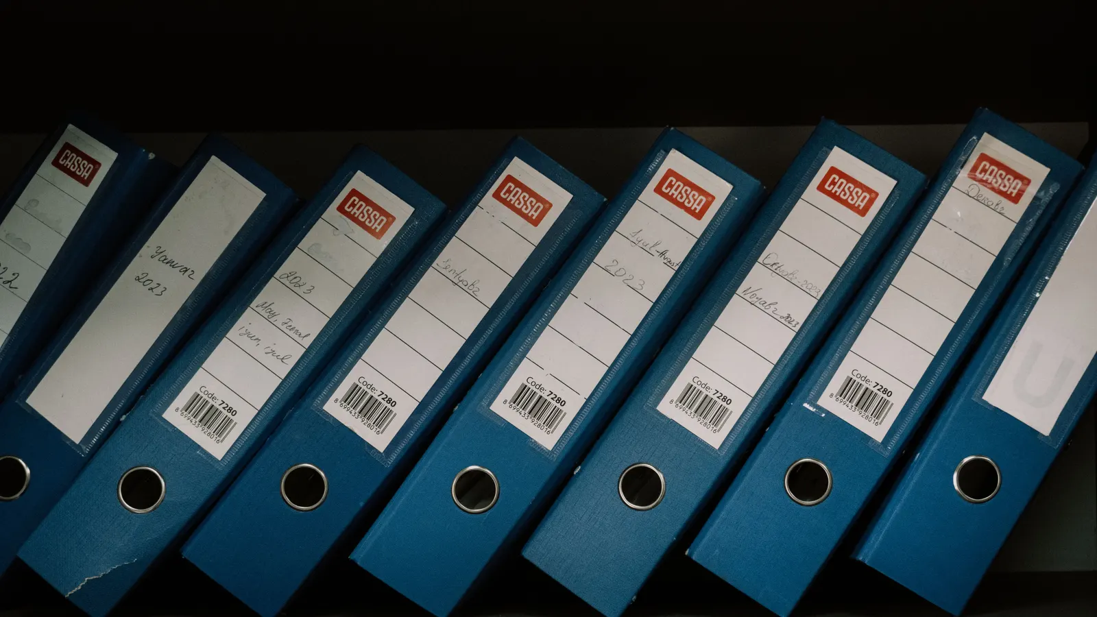 A shelf of blue ring binders labelled with names and dates