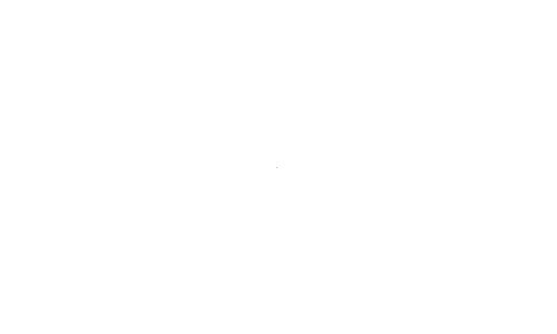 navichain